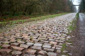 Illustration Paris-Roubaix