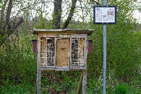 Insect Hotel