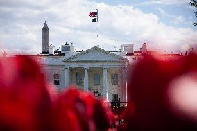Spring at the White House