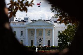 Spring at the White House