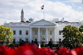 Spring at the White House