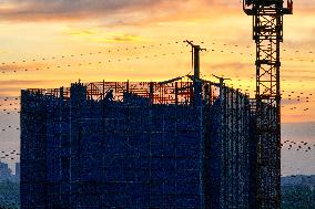 China Property Market