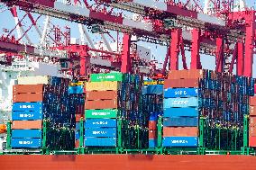 Qingdao Free Trade Zone Container Trade