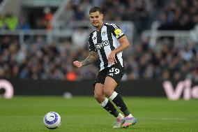 Newcastle United FC v Crystal Palace FC - Premier League