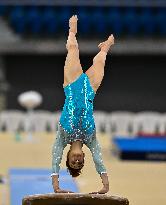 17th FIG Artistic Gymnastics World Cup In Doha