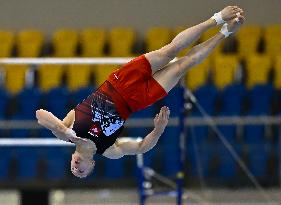 17th FIG Artistic Gymnastics World Cup In Doha
