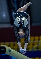 17th FIG Artistic Gymnastics World Cup In Doha