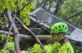 Castellammare di Stabia, Faito Cableway Cabin Falls After Cable Breaks, Four Victims
