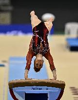 17th FIG Artistic Gymnastics World Cup Finals In Doha