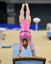 17th FIG Artistic Gymnastics World Cup Finals In Doha