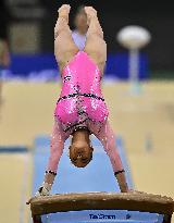 17th FIG Artistic Gymnastics World Cup Finals In Doha