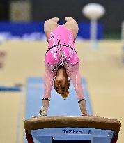 17th FIG Artistic Gymnastics World Cup Finals In Doha