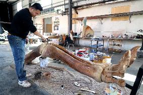 Paleontological Restoration Production in Binzhou