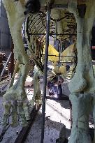 Paleontological Restoration Production in Binzhou