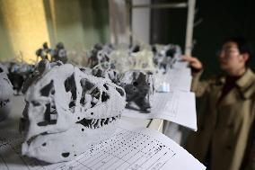 Paleontological Restoration Production in Binzhou