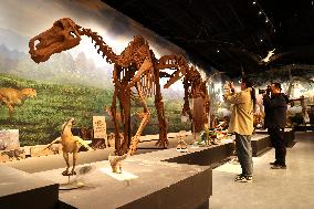 Paleontological Restoration Production in Binzhou