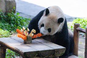 China Chongqing Zoo Giant Panda