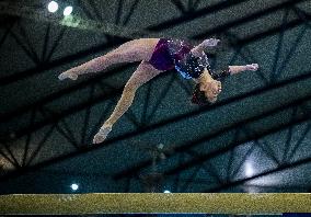 17th FIG Artistic Gymnastics World Cup Finals In Doha