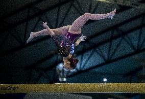 17th FIG Artistic Gymnastics World Cup Finals In Doha
