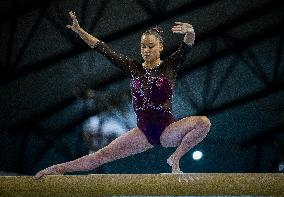 17th FIG Artistic Gymnastics World Cup Finals In Doha