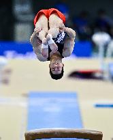17th FIG Artistic Gymnastics World Cup Finals In Doha