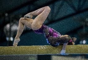 17th FIG Artistic Gymnastics World Cup Finals In Doha