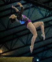 17th FIG Artistic Gymnastics World Cup Finals In Doha