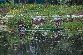 Daily Life In Kashmir, India