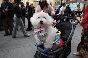 Easter Parade In New York City