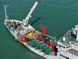 China Established World's Largest Maritime Guarantee System