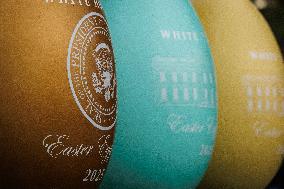 DC: 2025 White House Easter Egg Roll Preview