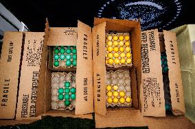 DC: 2025 White House Easter Egg Roll Preview