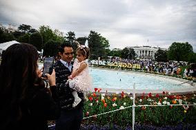 DC: 2025 White House Easter Egg Roll Preview