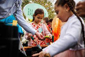 DC: 2025 White House Easter Egg Roll Preview