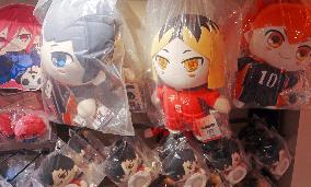 ACG Goods Economy