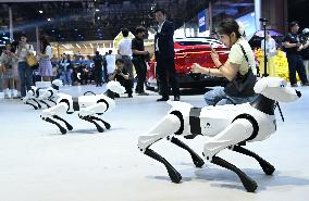 Chery Booth at 2025 Auto Show in Shanghai