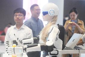 Chery Humanoid Robot Monine gen-1
