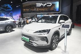 BYD 2025 Q1 Net Profit Increases