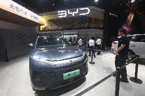 BYD 2025 Q1 Net Profit Increases