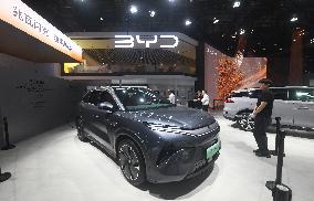 BYD 2025 Q1 Net Profit Increases