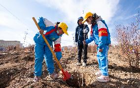 Voluntary Tree-planting Activity - China