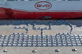 World Largest Car Carrier BYD Shenzhen
