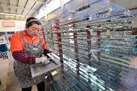 Glass Products Manufacturing in Qingzhou