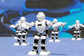 Shandong Province Robot Conference