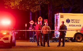 Multiple killed, injured after vehicle drives into Lapu Lapu festival - Vancouver