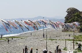 Carp streamers in Mie Pref.