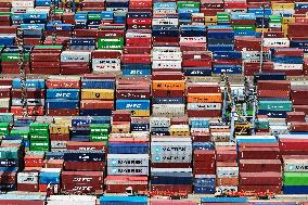 Shanghai Port Container Trade