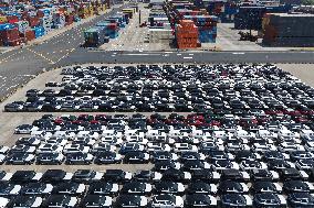 Shanghai Port EV Export