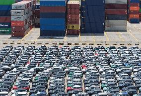 Shanghai Port EV Export