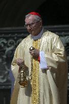 Cardinal Pietro Parolin Leads A Mass In Suffrage For Pope Francis - Vatican